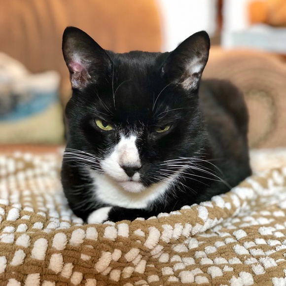 COMMENTS FULL! - Picture 6 of 8